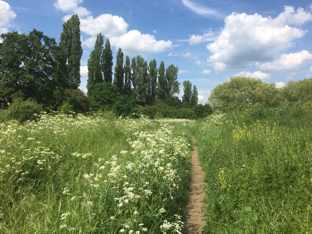 I want to ride my&nbsp;bicycle