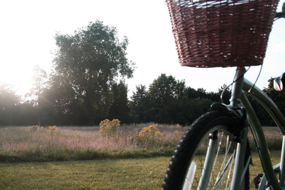 Maybe I’m amazed at the way you move me out of&nbsp;time